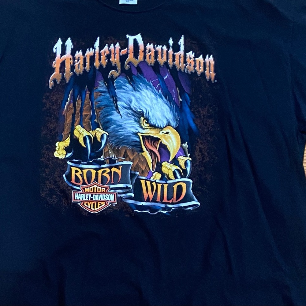 Harley Davidson Tee - Picture 2 of 4
